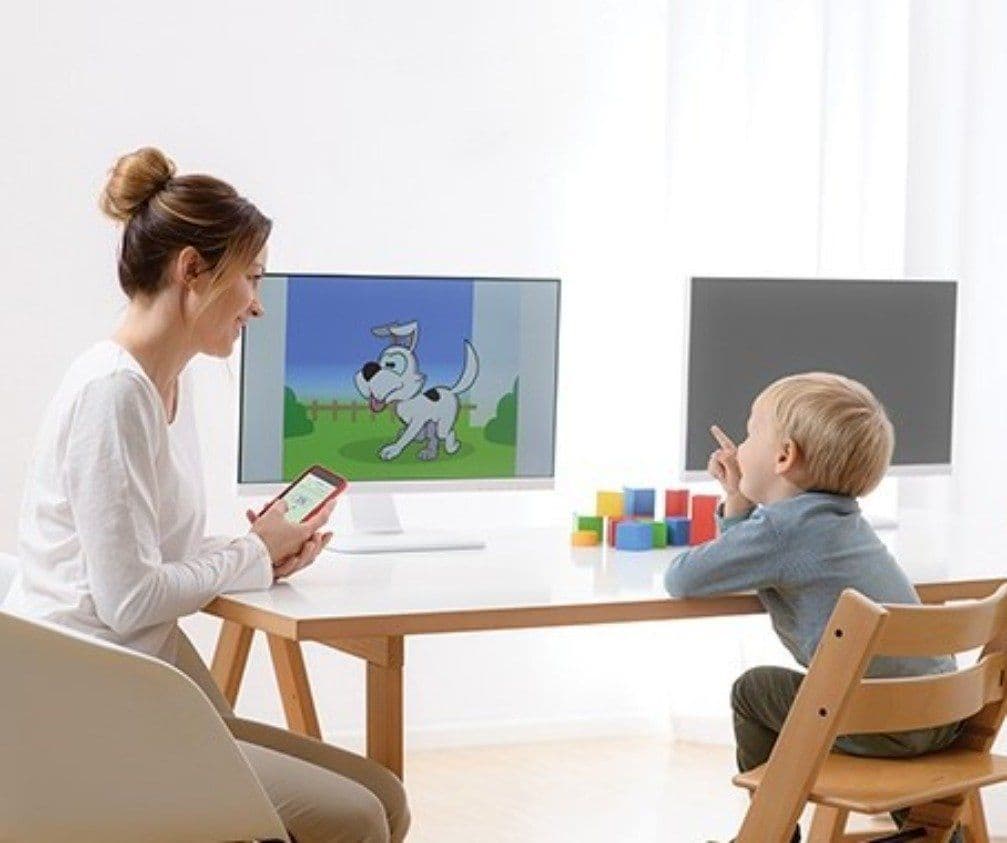 vra-picture-product-page